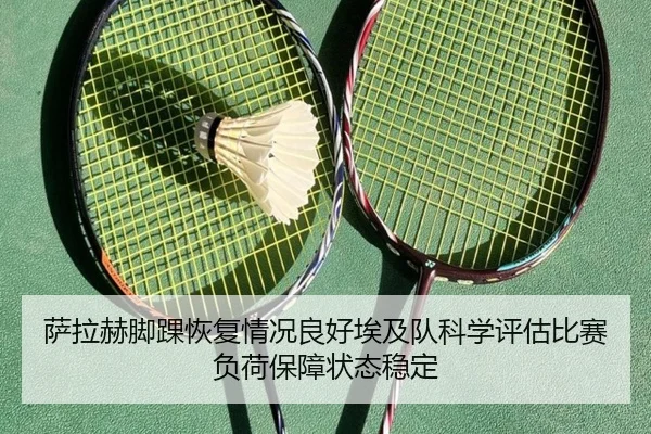 萨拉赫脚踝恢复情况良好埃及队科学评估比赛负荷保障状态稳定（Jiangnan）